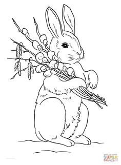イラスト のアイデア 1 件 イラスト のばらの村のものがたり ピーターラビット イラスト のアイデア 1 件 イラスト のばらの村のものがたり ピーターラビット