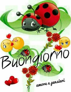 guten morgen auf italienisch guten morgen auf italienisch