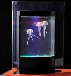 cool things to put in your room - Google Search | Gabe Christmas ... cool things to put in your room - Google Search | Gabe Christmas ...