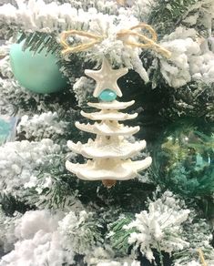 starfish christmas ornament this natural starfish ornament will look wonderful on a coastal christmas tree - Florida Christmas Decorations starfish christmas ornament this natural starfish ornament will look wonderful on a coastal christmas tree - Florida Christmas Decorations