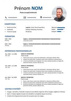 Cv Word Document Format Cv Words Curriculum Vitae Examples Microsoft Word Document