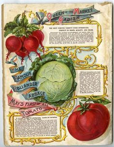 90 Best L May Co Seed And Nursery Catalogs Images On Pinterest Vegetables Adorned The Back Cover Of 1899 L May Farm And Fl Guide Mouthwatering
