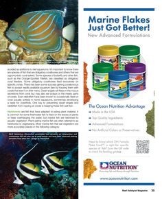 134 best salt water