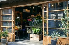 260 Japan Ideas Japan Aesthetic Japan Japan Street 260 Japan Ideas Japan Aesthetic Japan Japan Street