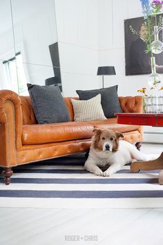 Roger Chris Rogerpluschris On Pinterest Leather Sofa Tufted Chesterfield Shown Higgins In Au Naturel Autumn