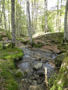 290 Idées De Pays Basque En 2021 Pays Basque Basque Pays
