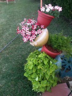Beautiful pots to contrast the flowers! The Amazing Plant ... Beautiful pots to contrast the flowers! The Amazing Plant ... on Amazing Plant Stand Ideas
id=55291