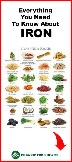 plant based sources of zinc vitamins pinte iron everything you need to know about it