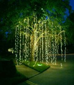 56 Best Christmas Lights Decorations Tips Tricks And Ideas The 20 Best Graduation Party Ideas Christmas Lights Outdoor