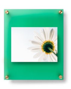 116 Best Wexel Frames Images On Pinterest In 2018 Acrylic 12x10 Emerald Frost Double Panel Floating Frame For 5x7 Photos 1210dr L124