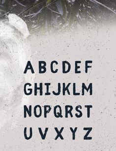 Fibre Free Vintage Font Fibre Free Vintage Font