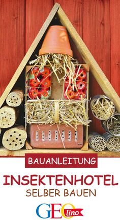 basteln mit kindern gemusegarten bild, 38 besten diy mit naturmaterialien bilder auf pinterest in 2018, Design ideen