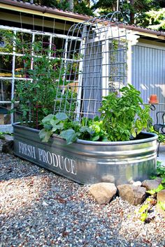 87 Best Stock Tank Gardening Images In 2018 Flowers Garden Art 16 Creative Ways To Transform Your Home And Backyard With Stock Tanks