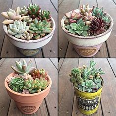 リメ鉢」のアイデア 21 件 | 鉢, 植木鉢, リメイク缶 リメ鉢」のアイデア 21 件 | 鉢, 植木鉢, リメイク缶