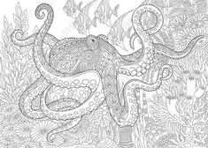 3 Coloring Pages Animal Book For Adults Instant Download Print