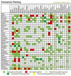 grass seed germination temperature chart