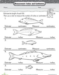 measurement in inches