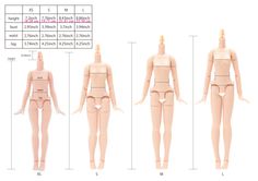 Obitsu Girl Body 24BD F02N S 24cm Natural Bust S Pure neemo Flection Dol F//S