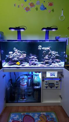 86 best reef images