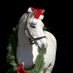 126 best equestrian christmas images equestrian saddles