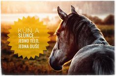 altus ok randění