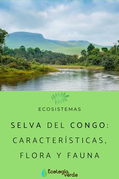 84 Ideas De Ecosistemas En 2021 Tipos De Ecosistemas Ecosistemas Ecología