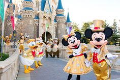 ディズニー実写壁紙 のアイデア 77 件 ディズニー ディズニーテーマパーク ディズニー 写真 ディズニー実写壁紙 のアイデア 77 件 ディズニー ディズニーテーマパーク ディズニー 写真