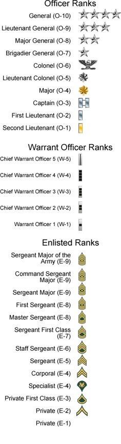 Essay service ranking