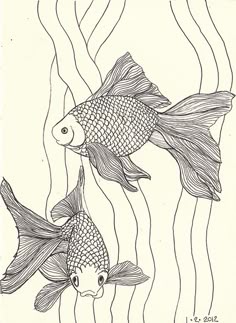 Scratch and sketch books for adults