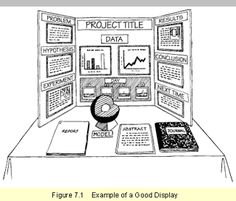 science projects layout