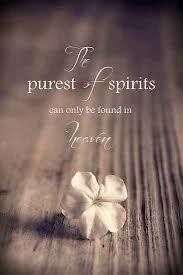 Quotes About Losing A Child Impressive Image Result For Losing A Child Quote Jake Pinterest Quotes About Losing A Child Adorable Image Result For Losing A Child Quote Jake Pinterest