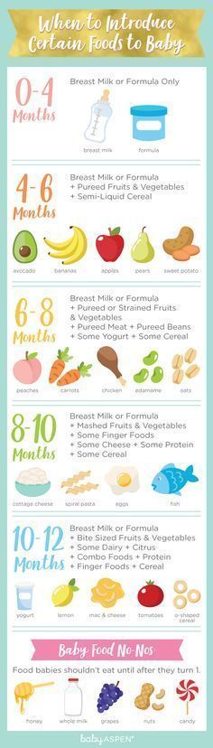 242 best baby food recipes images on pinterest kids meals baby 242 best baby food recipes images on pinterest kids meals baby foods and baby puree recipes