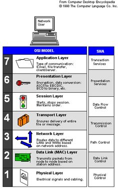7 layer of networking