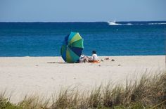 Pompano Beach Is Truly Nature S Aquarium The Gulf Stream Provides Pompano Beach Is Truly Nature S Aquarium The Gulf Stream Provides Some Of
