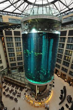 144 best acuarium images