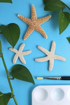DIY How To Make Faux Starfish