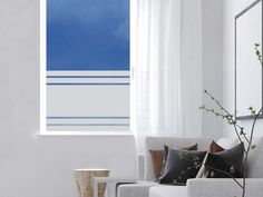 54 best window film