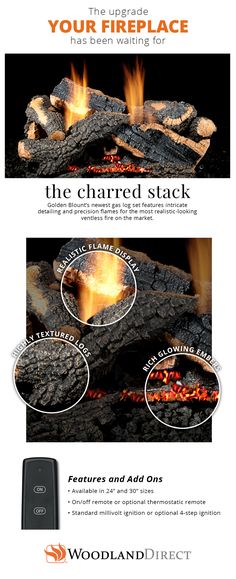Ash Can Fireplace Charcoal Storage Bin Galvanized Steel Lid BBQ Grill Accessory