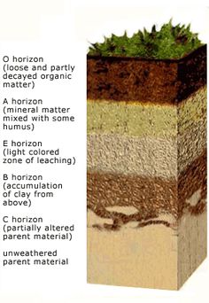 soil horizons science based pinterest anchor charts soil horizon charts