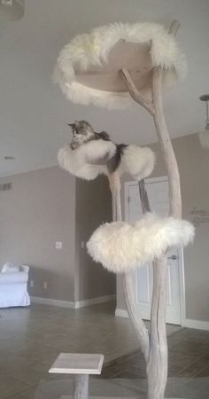 314 Best Cat Trees Images Supplies Dog Tree A Cat Tree Built For Princess Quatro Patas Diy