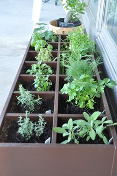 Herb Garden Ideas For A Balcony cd rack turned balcony herb garden | balcony herb gardens, herbs Herb Garden Ideas For A Balcony cd rack turned balcony herb garden | balcony herb gardens, herbs