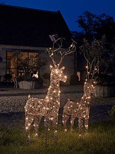 gold light up christmas reindeer christmas lights pinterest xmas wonderful time and christmas lights - Outside Reindeer Christmas Decorations gold light up christmas reindeer christmas lights pinterest xmas wonderful time and christmas lights - Outside Reindeer Christmas Decorations