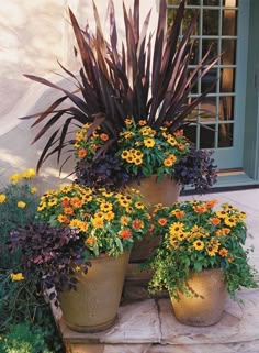 310 Outdoor Plant Arrangements Ideas Container Gardening Plants Garden Containers - How To Arrange Plants On Patio 310 Outdoor Plant Arrangements Ideas Container Gardening Plants Garden Containers - How To Arrange Plants On Patio