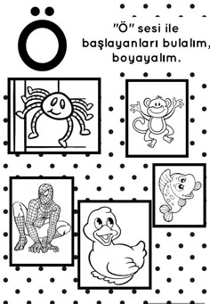 poker kartları isimleri