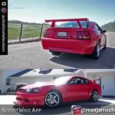 Yay or Nay Sally Mustang Topless Yay or Nay Sally Mustang Topless