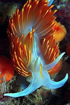 7 best sea images