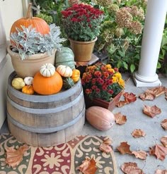 157 Best Fall Ornamental Décor Images All Vegetables Squashes Seeds Fall Decorating For Outside Or Balcony Lovely Dusty Miller Mums Pumpkins