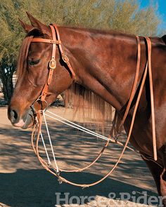 Southwestern Equine Barrel Racer German Martingale Southwestern Equine Barrel Racer German Martingale