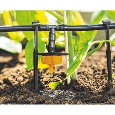 Système de Irrigation avec Pompe à Énergie Solaire Arrosoir A Goutte Plantes