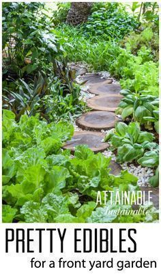 Best 20 Vegetable Garden Design Ideas for Green Living | Pinterest ... Best 20 Vegetable Garden Design Ideas for Green Living | Pinterest ...